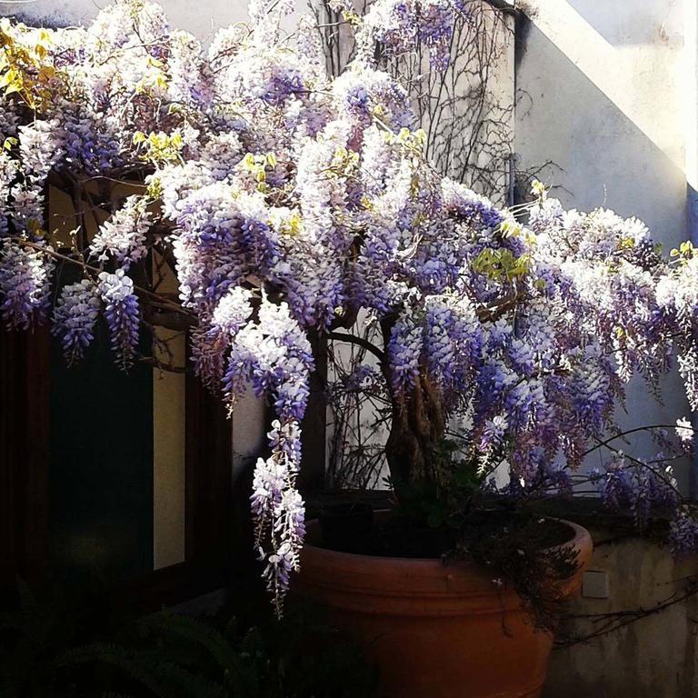 B&B Le Terrazze Bisceglie Extérieur photo